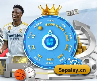 5e对战平台 APP 深度功能 - 5epalay